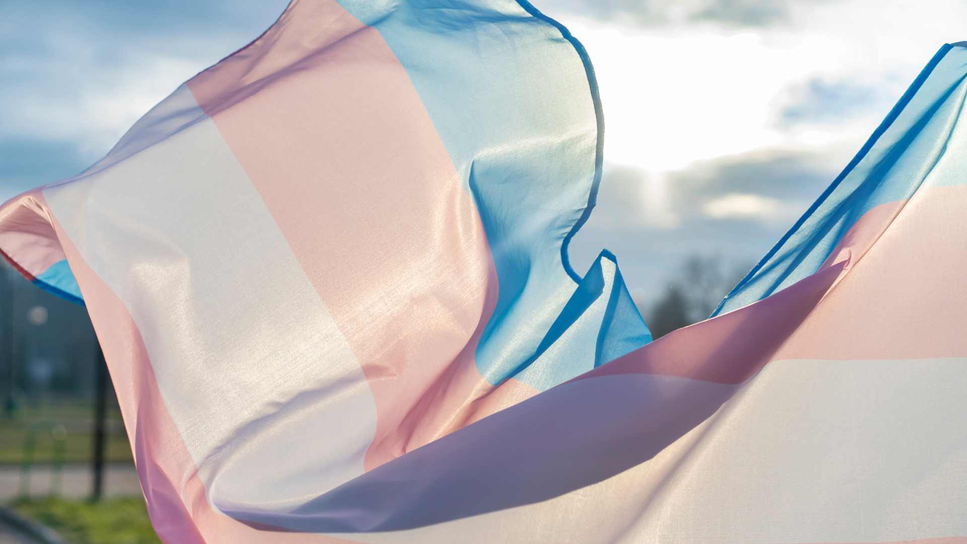 Concerns over Cass Review raised by more than 200 educational psychologists