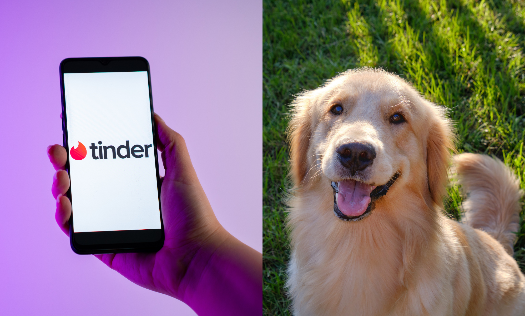 Singles are looking for a 'Golden Retriever' partner in 2025, according to Tinder