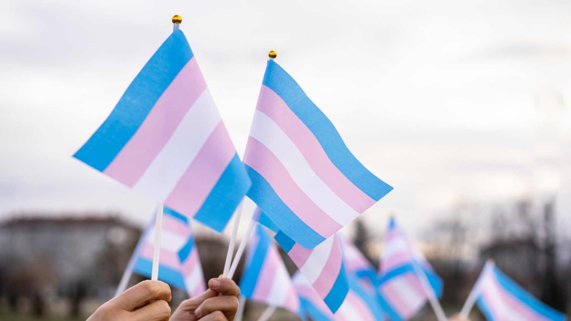 Another US city votes to become a trans sanctuary amid Trump attacks
