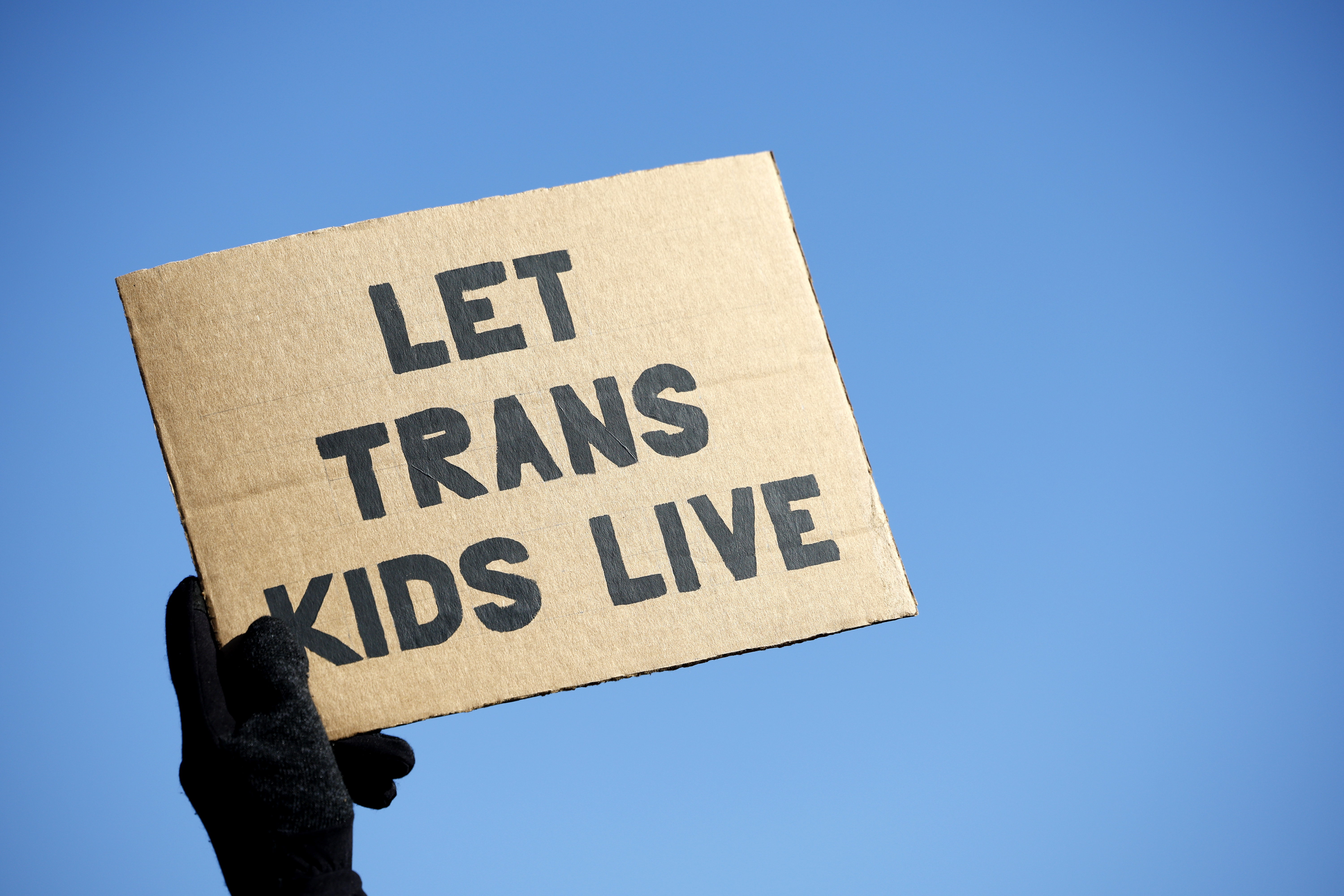 Arkansas ban on gender-affirming care for trans youth upheld by appeals court