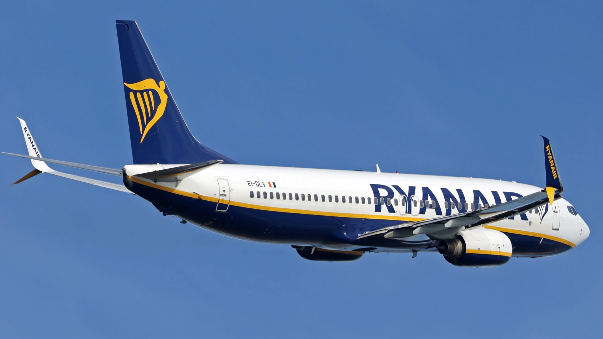 Non-binary passenger sues Ryanair over website's lack of gender-neutral options