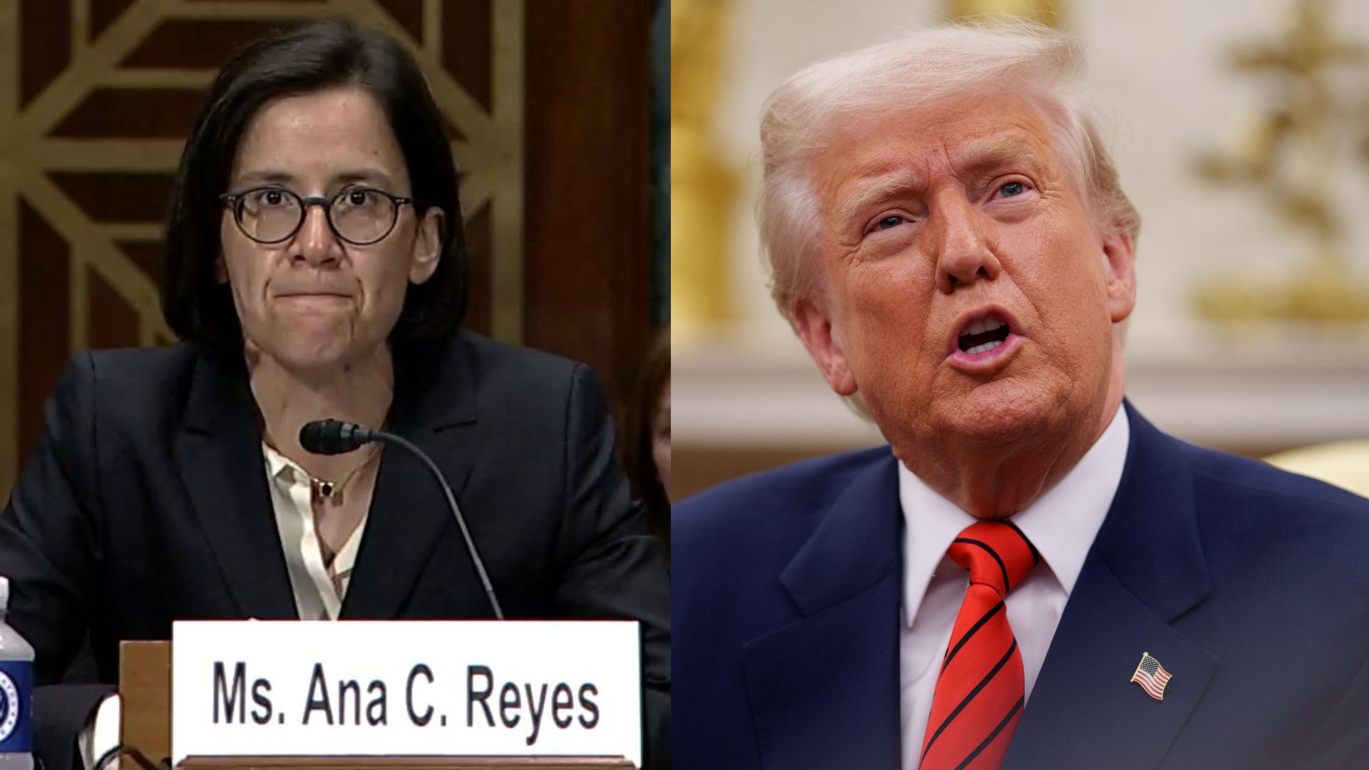 Trailblazing lesbian judge Ana Reyes blocks Trump’s ban on trans people in the military