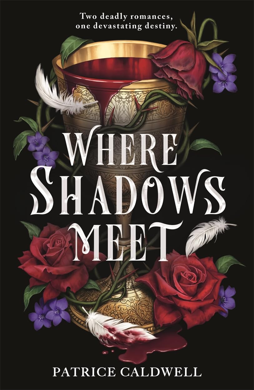Cover of Where Shadows Meet