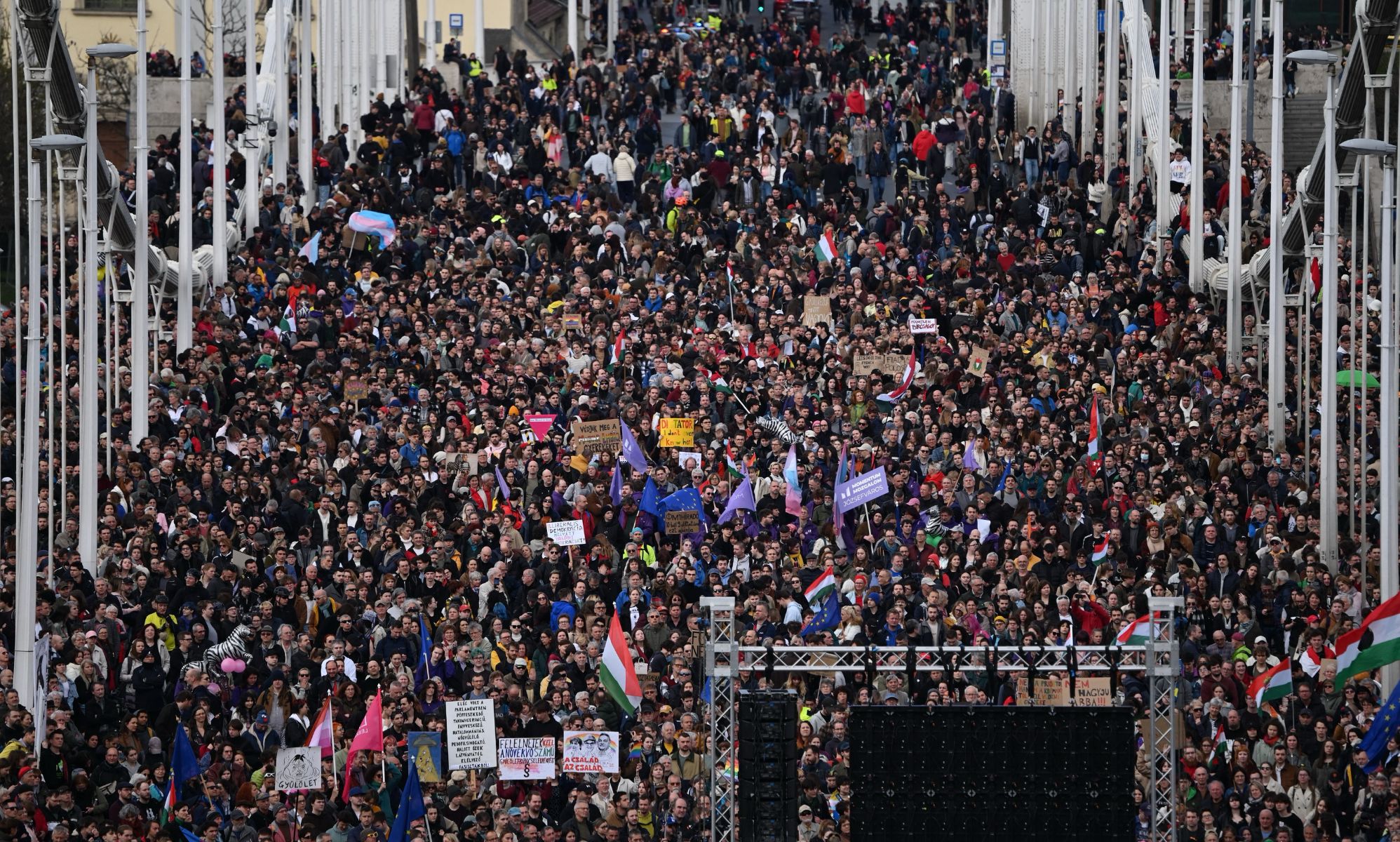 Protestors on the Elisabeth bridge in Budapest.