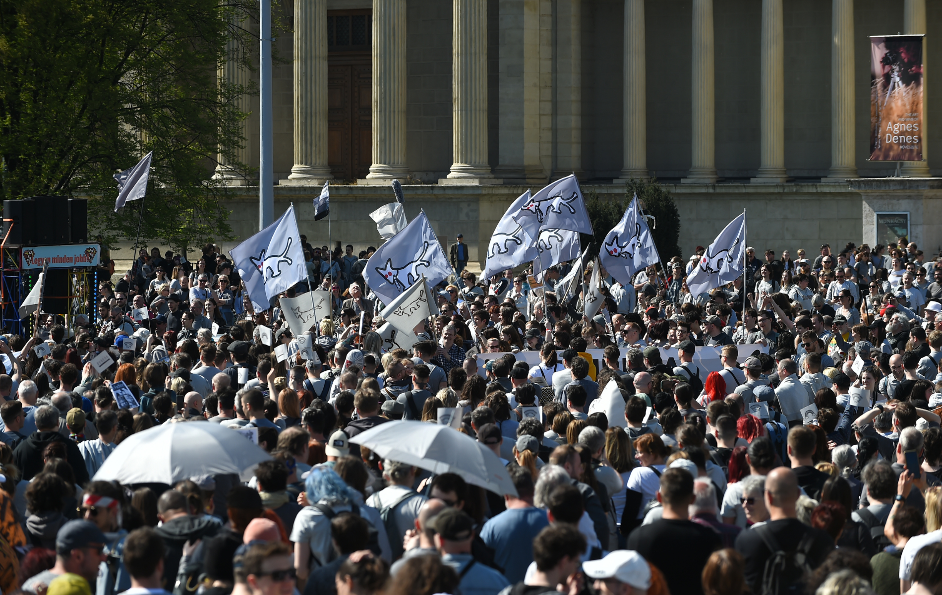 Hungary's Pride ban mocked with 'Gray Pride' march: 'Humour exposes the absurd'
