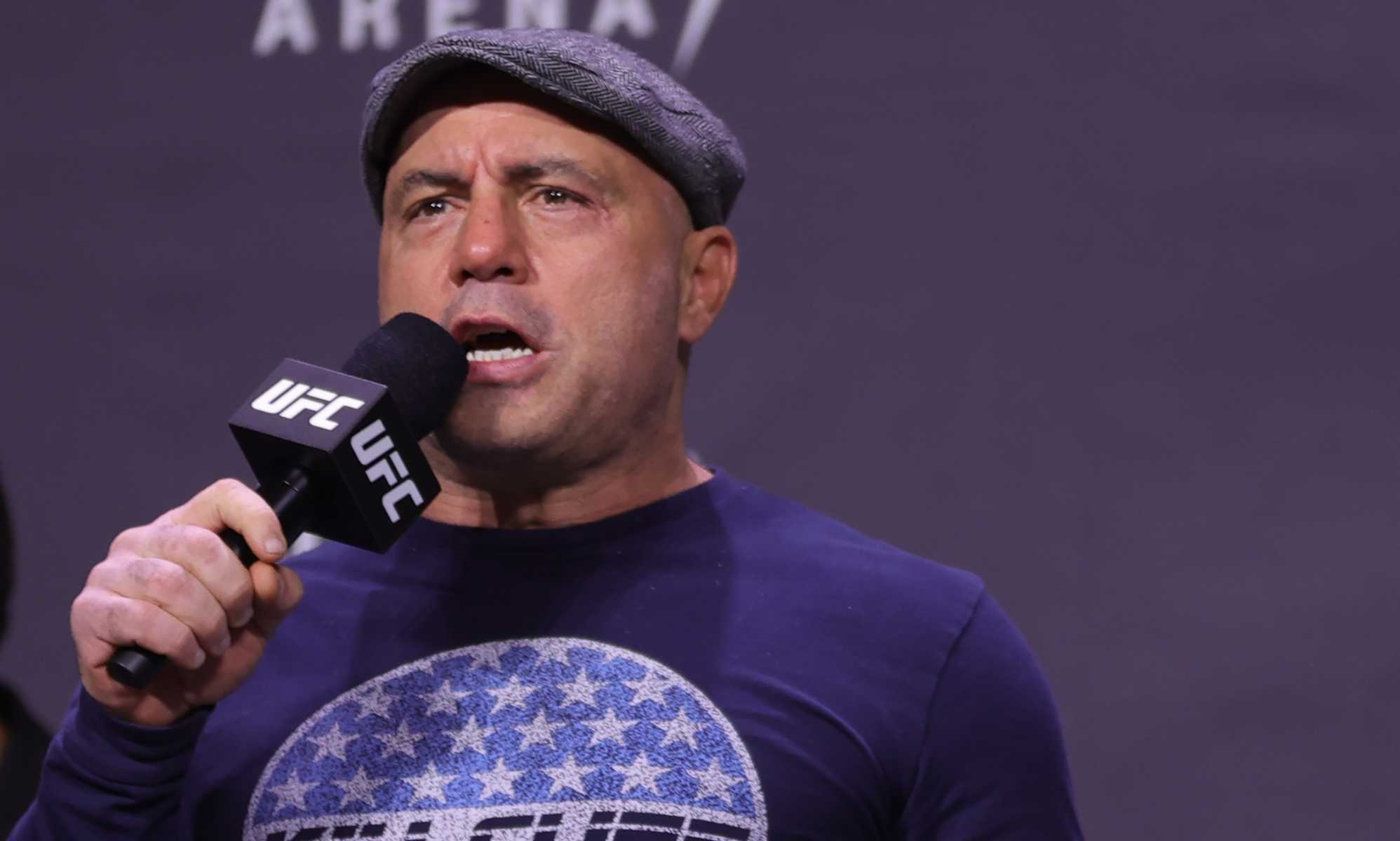 Joe Rogan unexpectedly springs to defence of deported gay makeup artist: 'A horrible mistake'