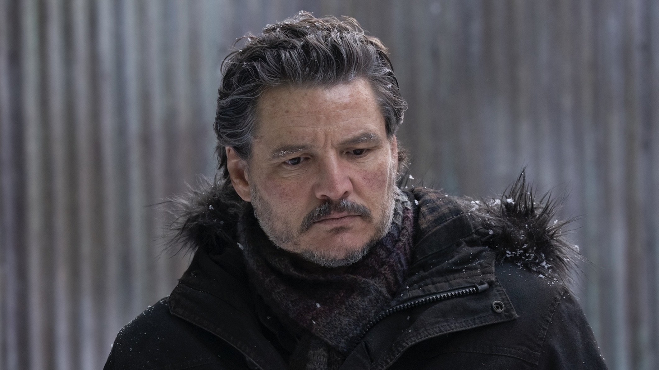 Everything we know about The Last of Us season 3 so far including cast, release date and plot