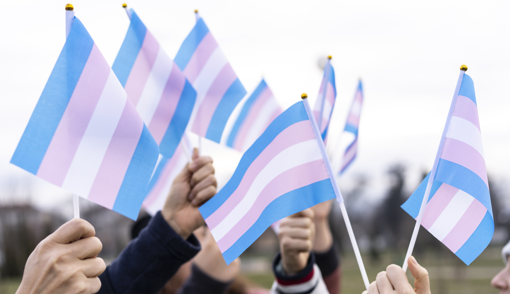 Lesbian Action Group want to exclude trans women but say 'we don't hate them'