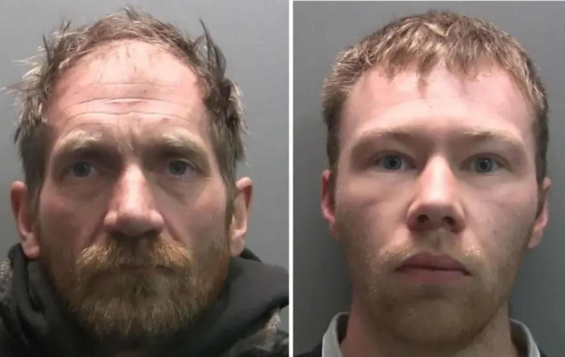 Sycamore Gap pair questioned over homophobic attack just nine days before tree was felled