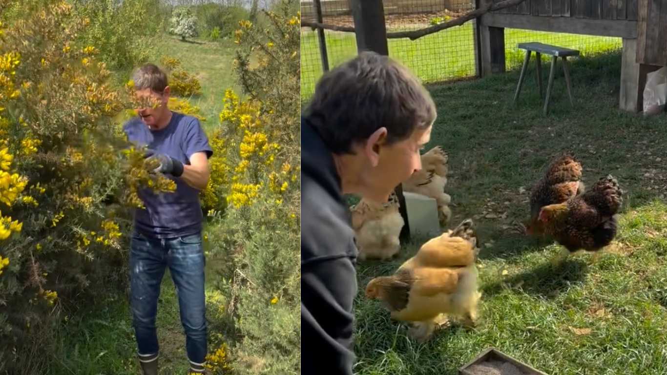 Ellen DeGeneres shares glimpse into her life as a 'farmer' after moving to England