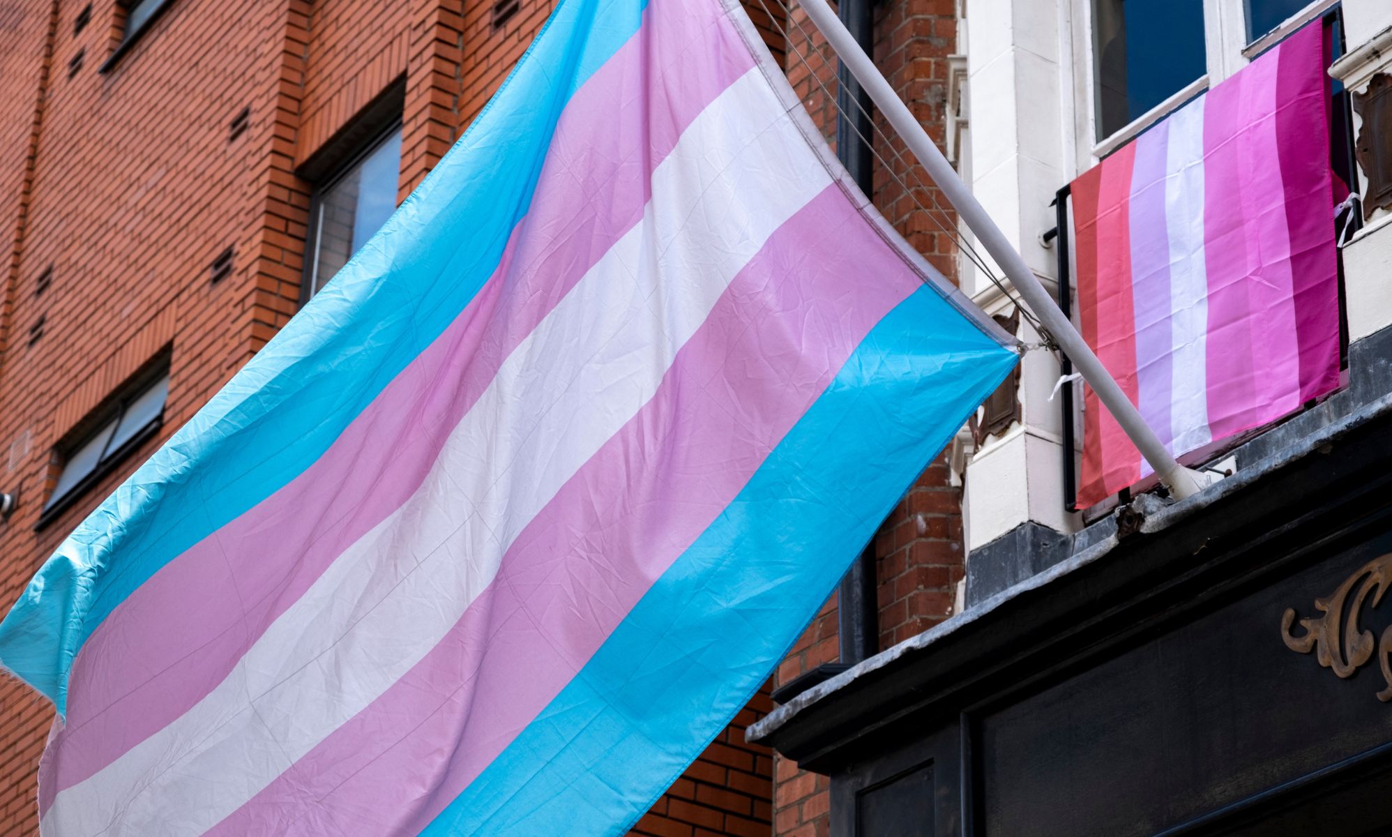 MPs oppose 'deeply disturbing' amendments to trans data bill