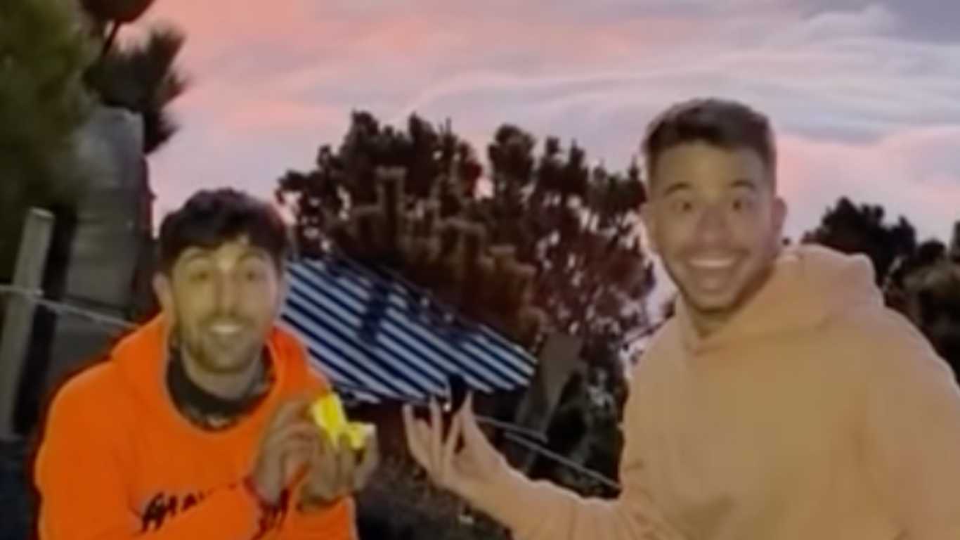 'Are you kidding me?' Gay couple propose at the same time in adorable viral clip