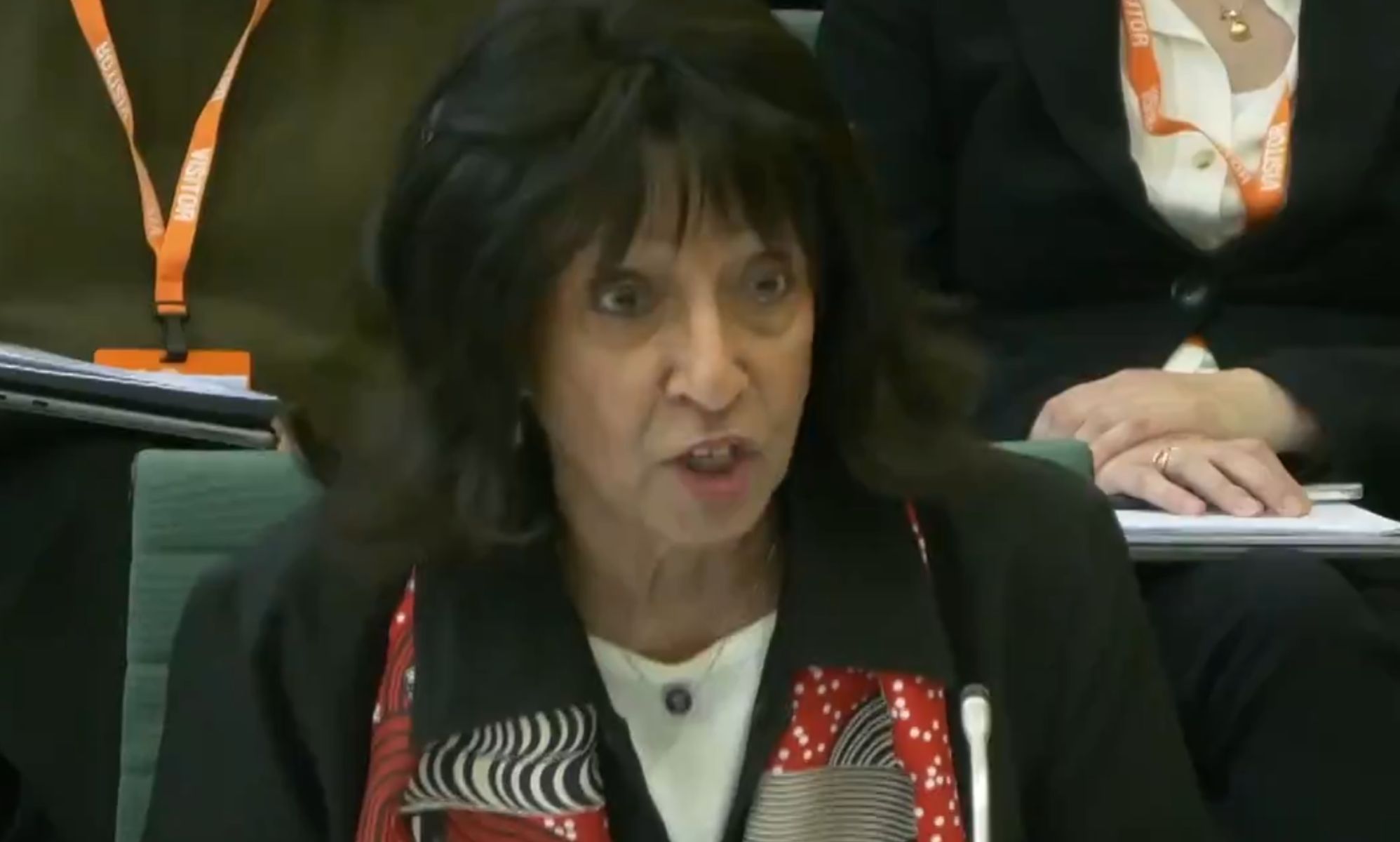 Kishwer Falkner during the Women Equalities Committee.