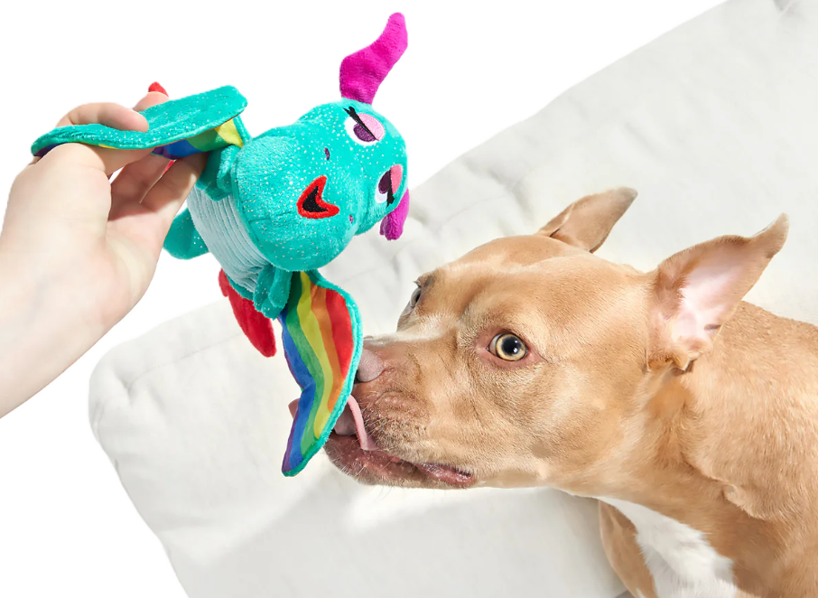 Huge Pride Month row erupts over dog toys, with BarkBox accused of being 'spineless and soulless'