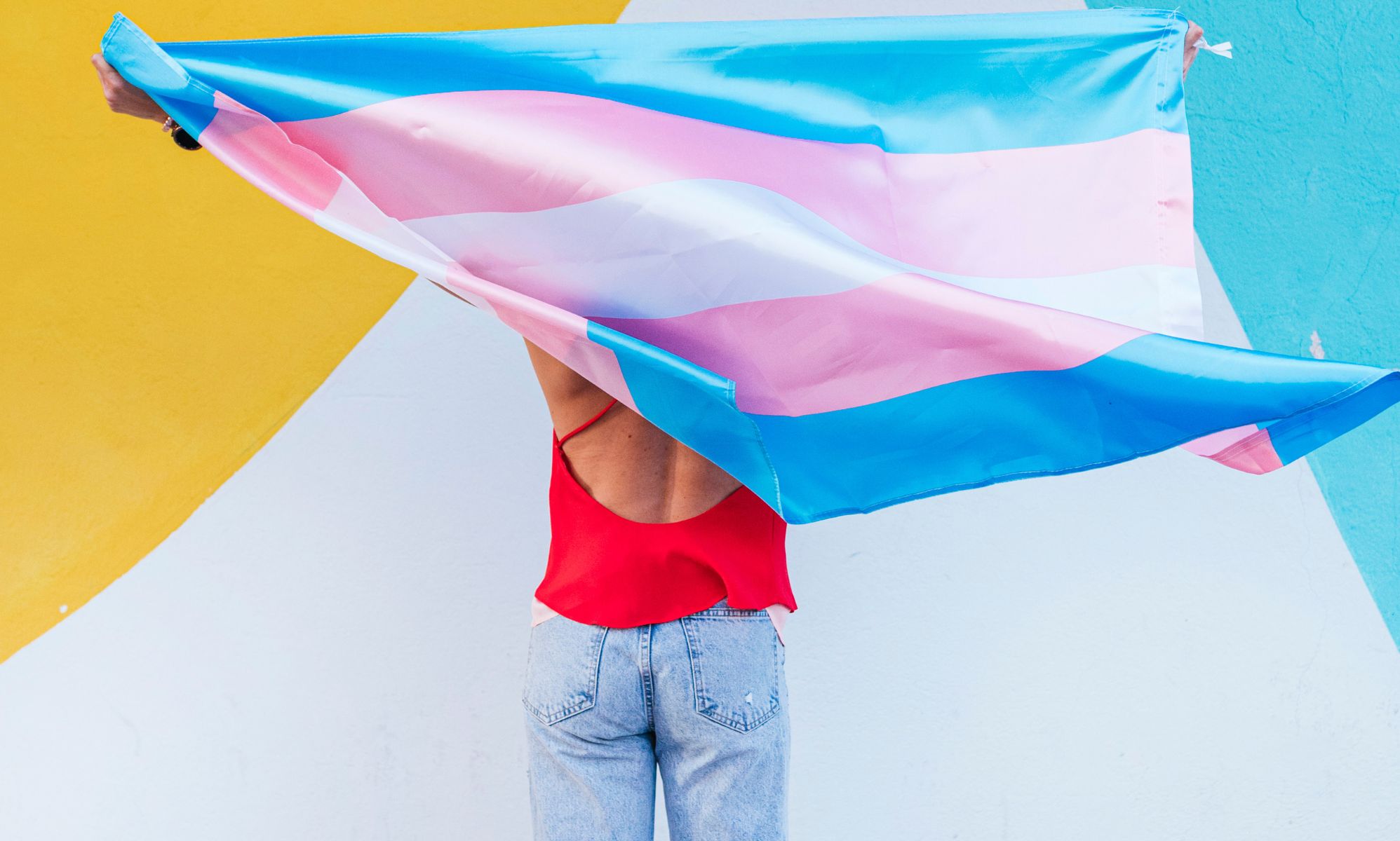 A person holding a trans flag.
