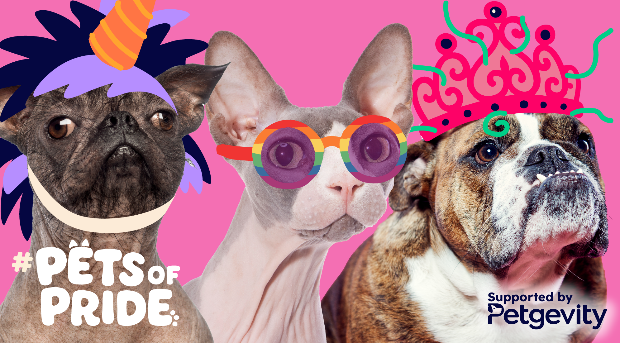 13 adorable animals celebrating Pride as Petgevity's #PetsOfPride winner revealed