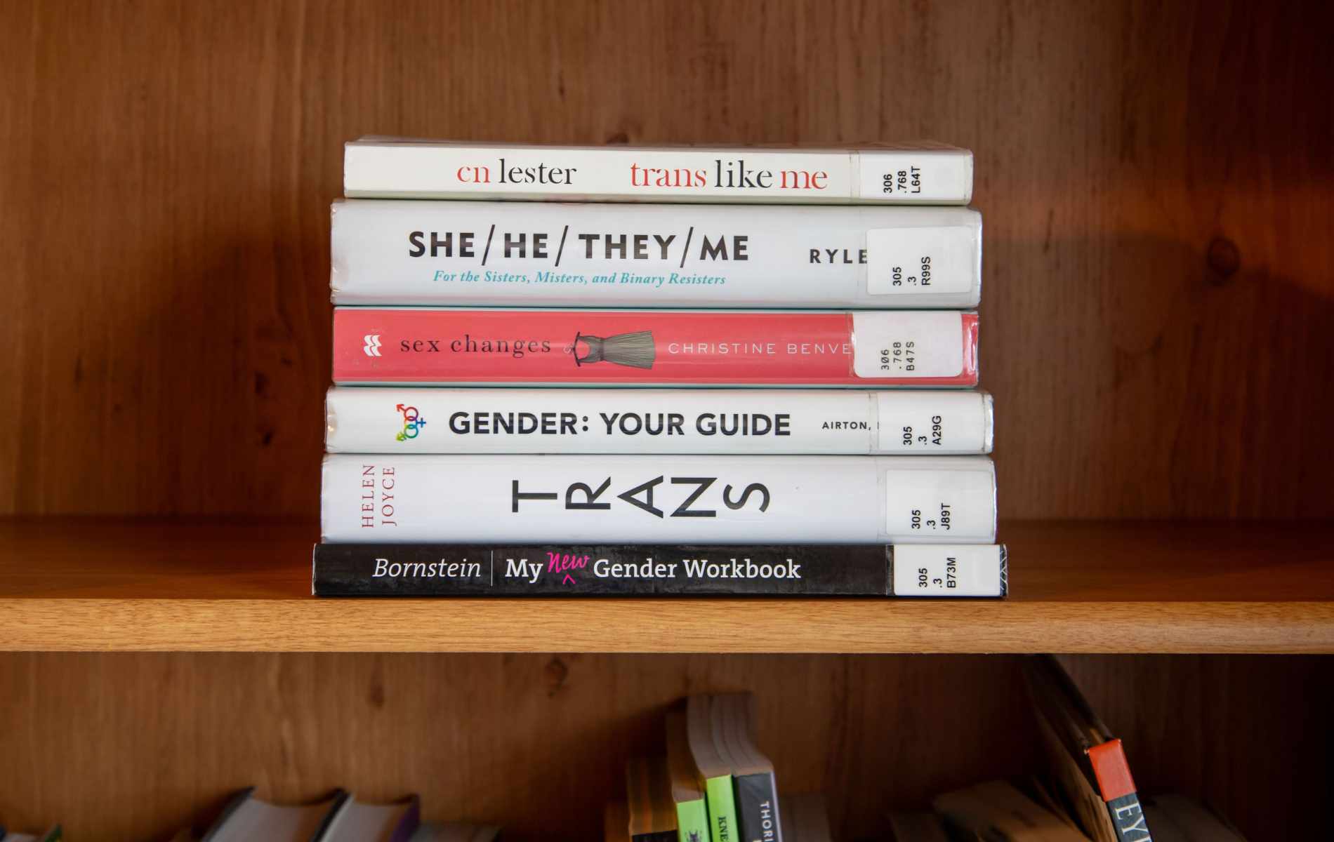 Reform UK council claim removal of trans books is about 'child protection'