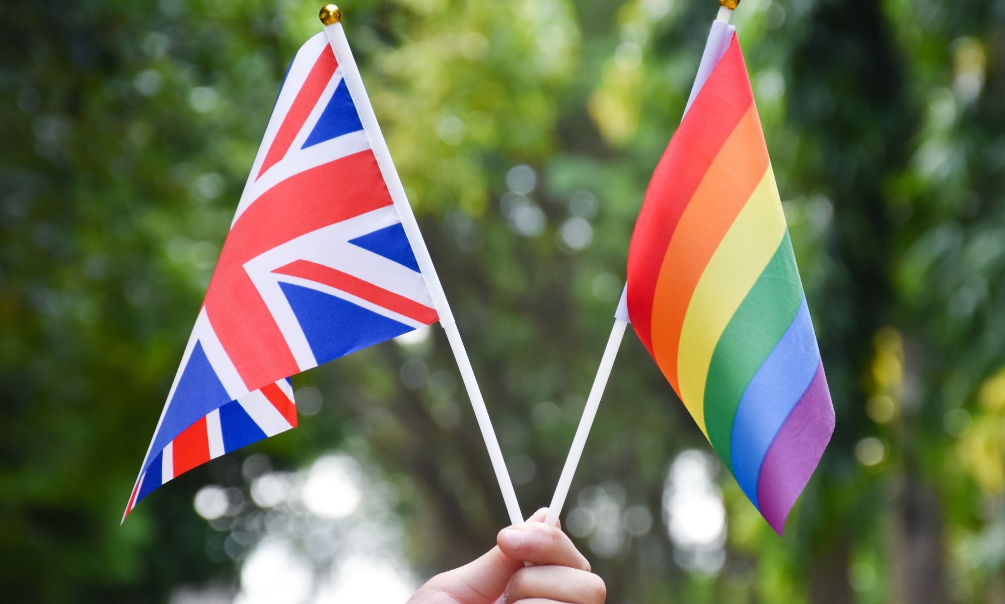 Someone holding two flags.