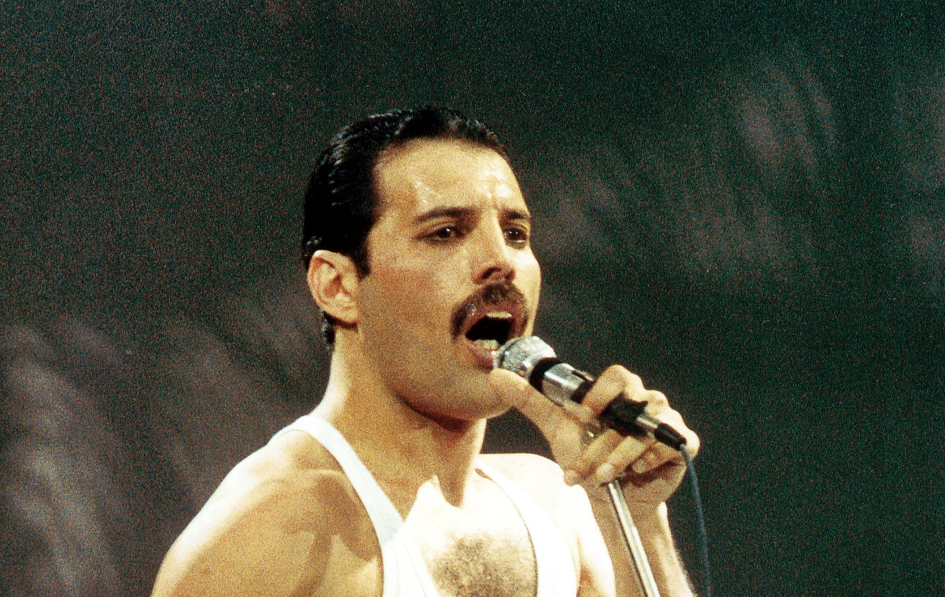 Freddie Mercury's alleged 'secret' daughter dies aged 48 months after sharing identity