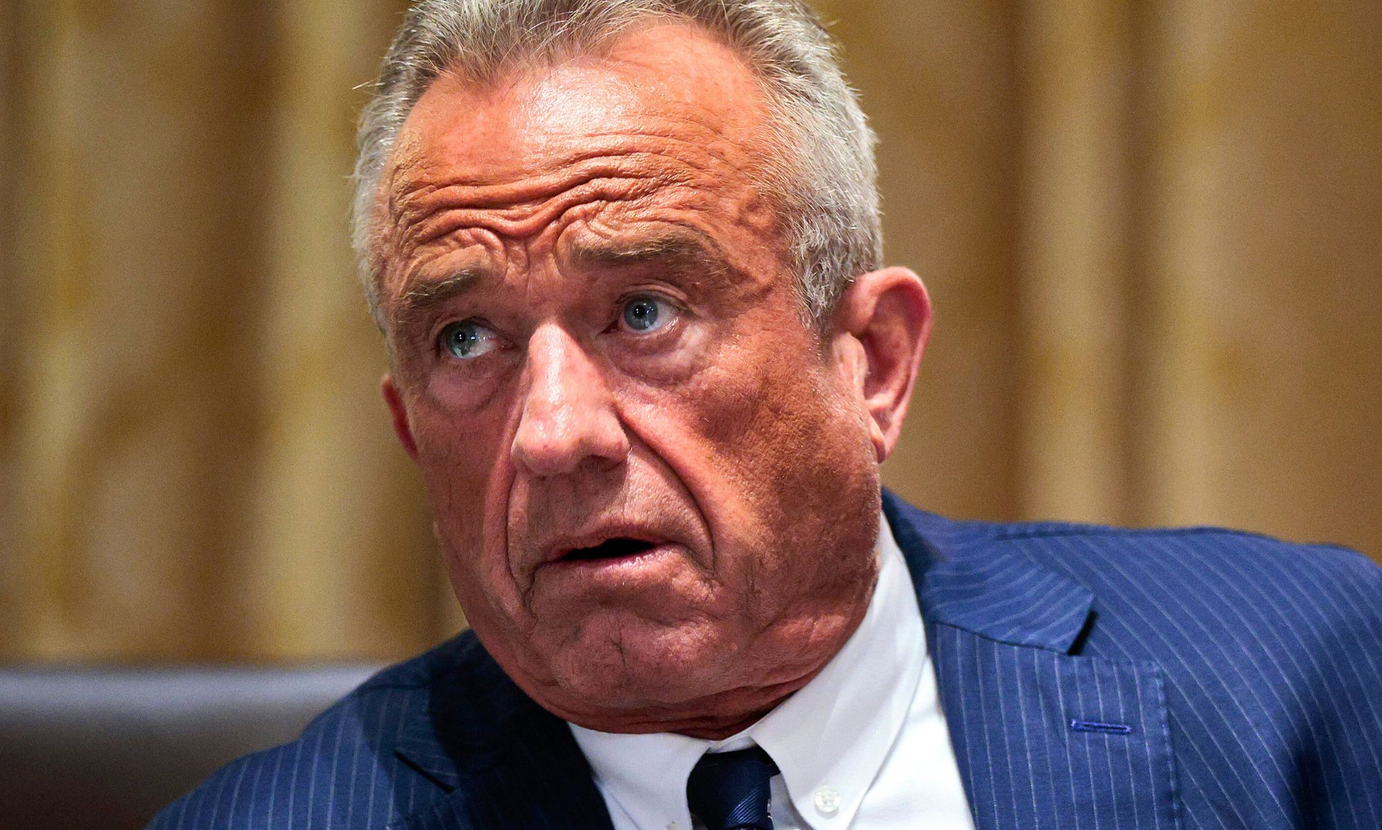 A portrait image of Robert F Kennedy Jr.