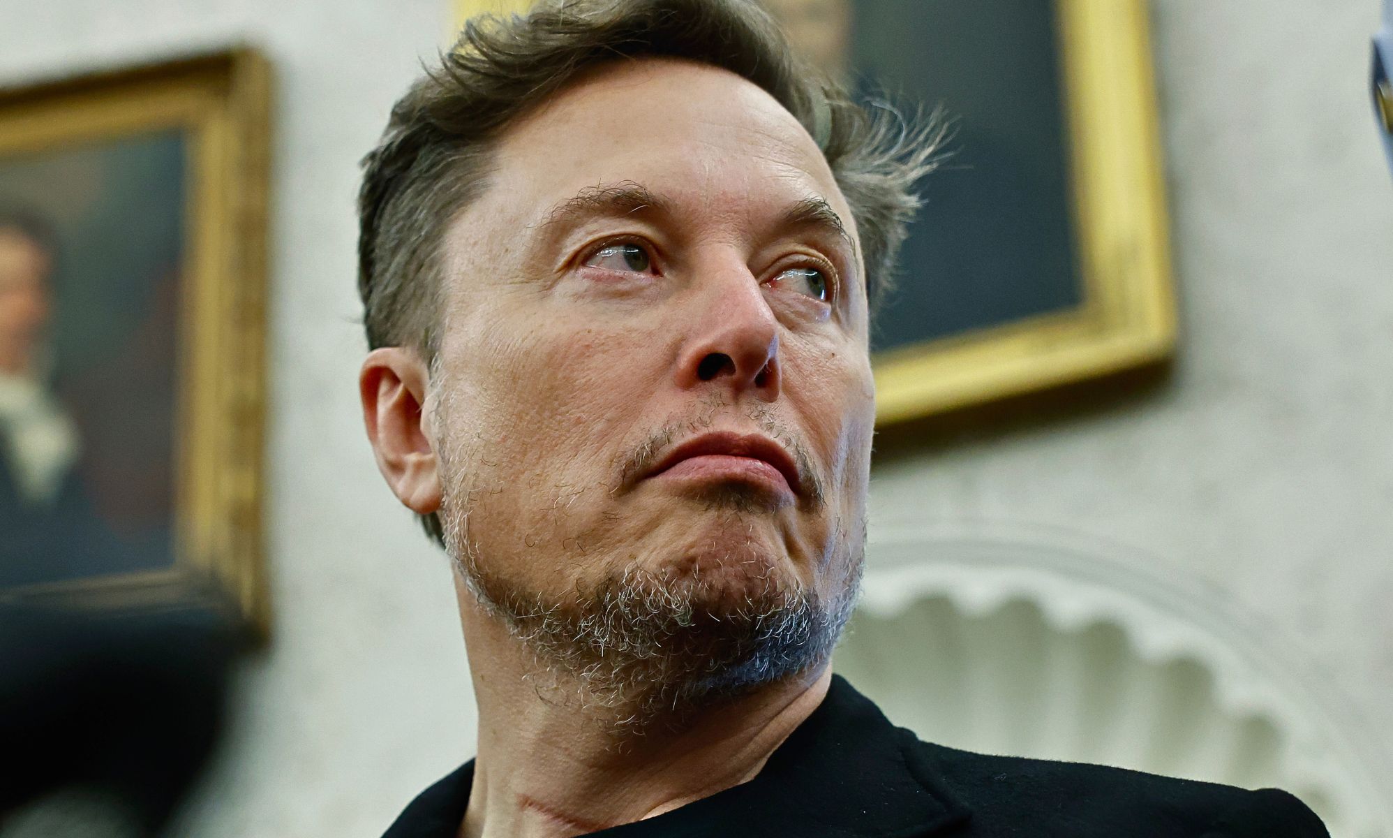 Satirical news site Hard Drive jokes about 'real reason' for Elon Musk's anti-trans comments