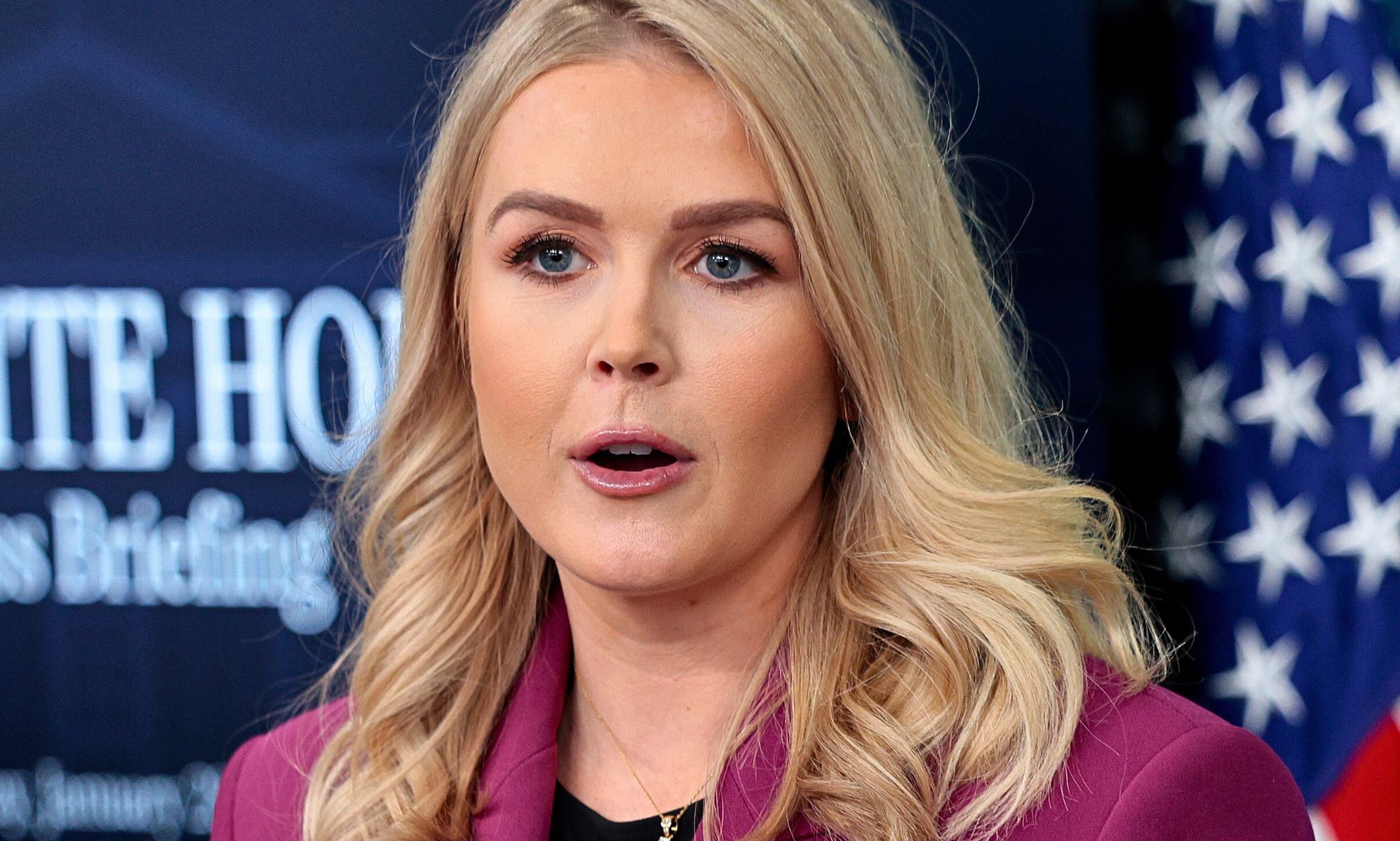 White House press secretary suggests 'looking into transgender violence'