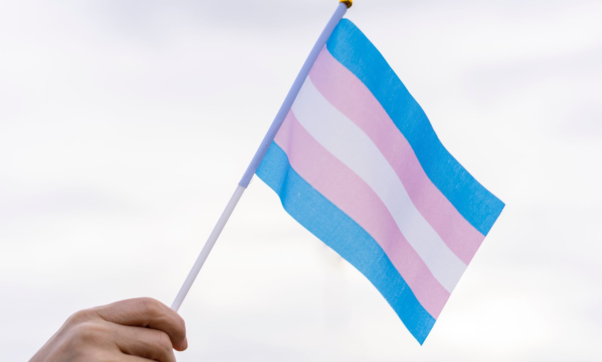 A person waving a miniature trans Pride flag.