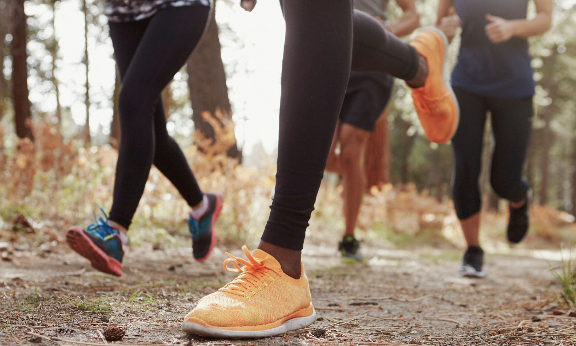 Florida man arrested after 'trying to drive into LGBTQ+ running group'