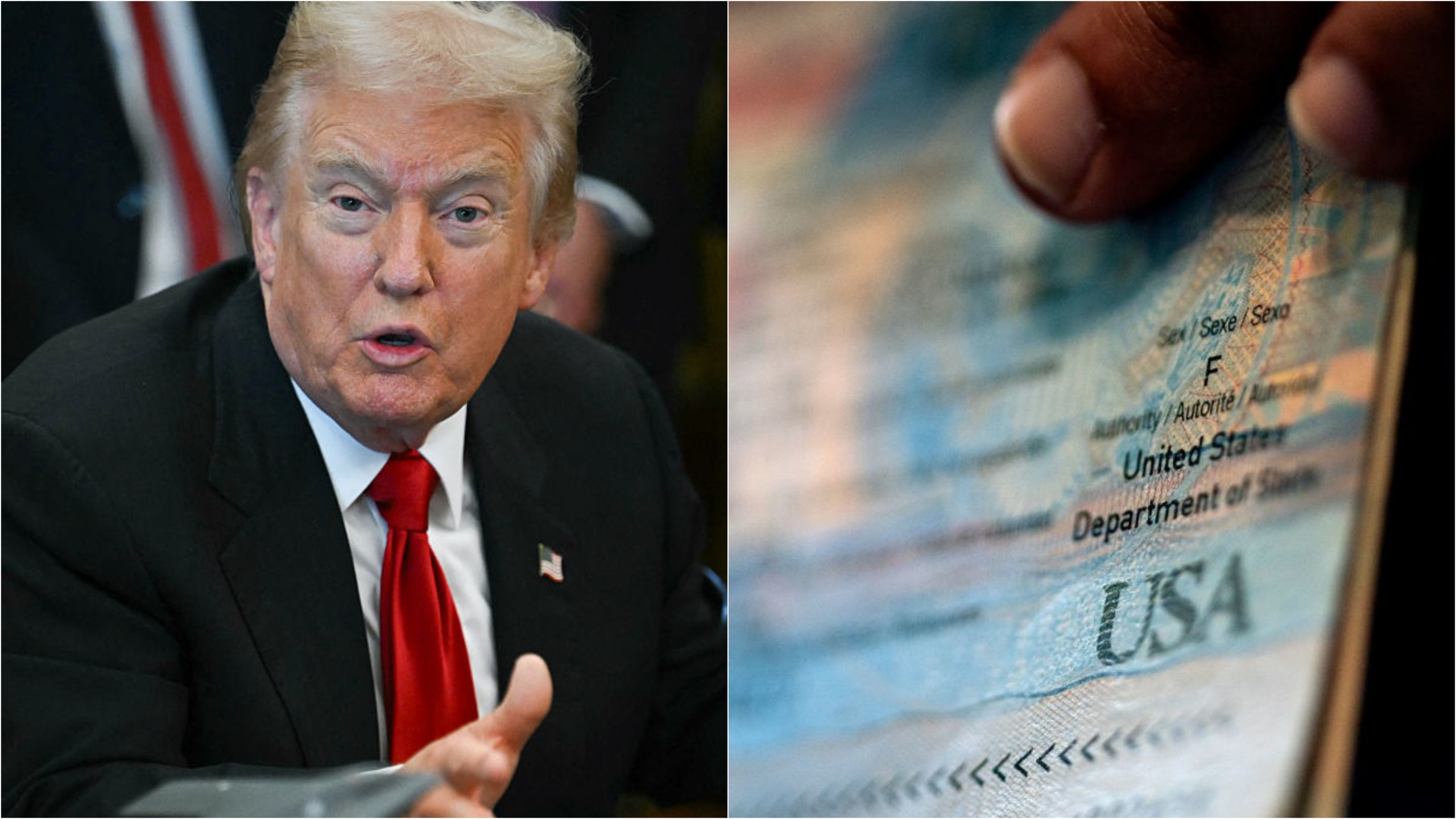 Supreme Court lets Trump enact anti-trans passport policy: 'Pointless but painful perversion'