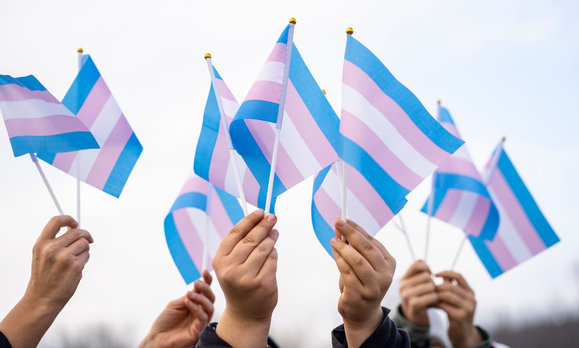 UK trans charity to host fundraising ball dedicated to its late trustee