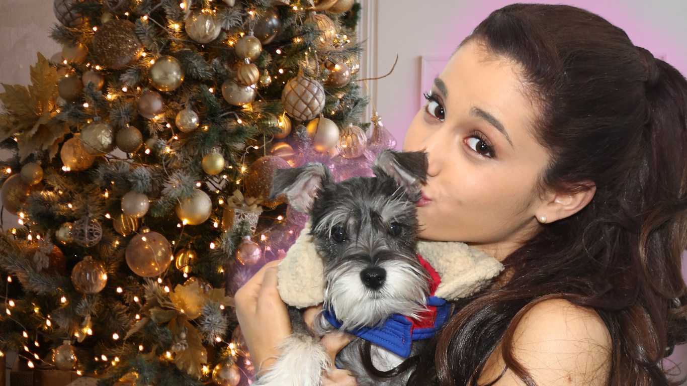 Dogs hate Ariana Grande holiday hit, study reveals