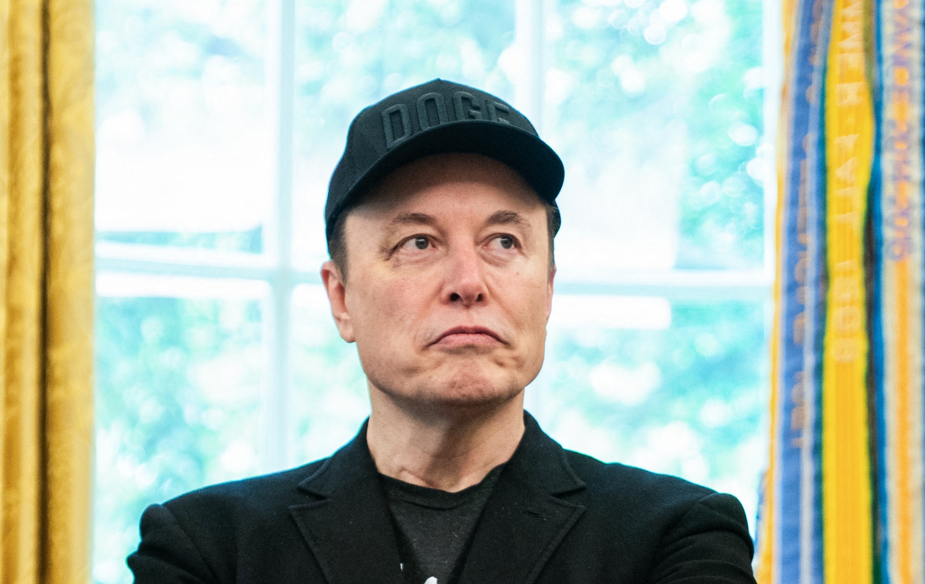 Elon Musk once said that humans can change species and everyone's having the same reaction