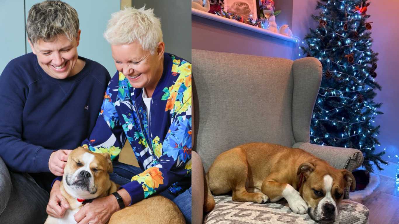 Terrified puppy finds forever home with same-sex couple just in time for Christmas 