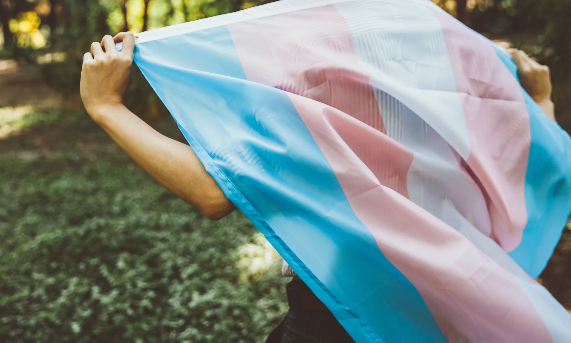 The back of a person holding a trans flag as a cape.